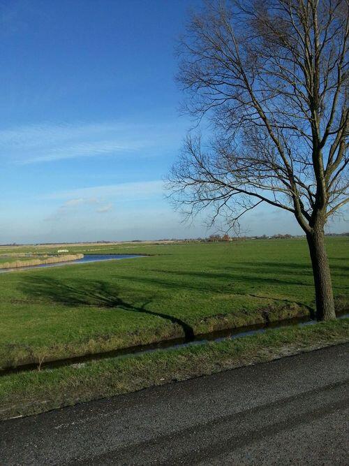 NewFysic Nederland tweet media