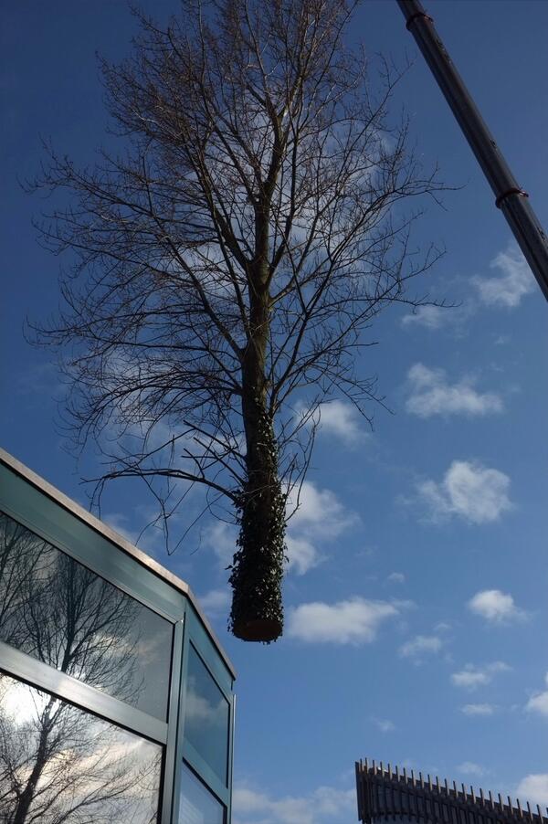 Bron: Picturae Nederland