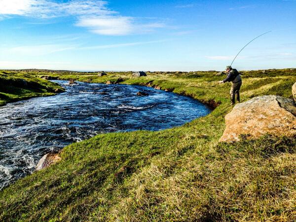 FlyfishTravel's tweet image. #Flyfishing! The perfect destination for a combo of #salmon and #trout #fishing in #Iceland