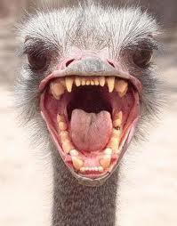 2b_soso's tweet image. Ma face quand je rage #panormal