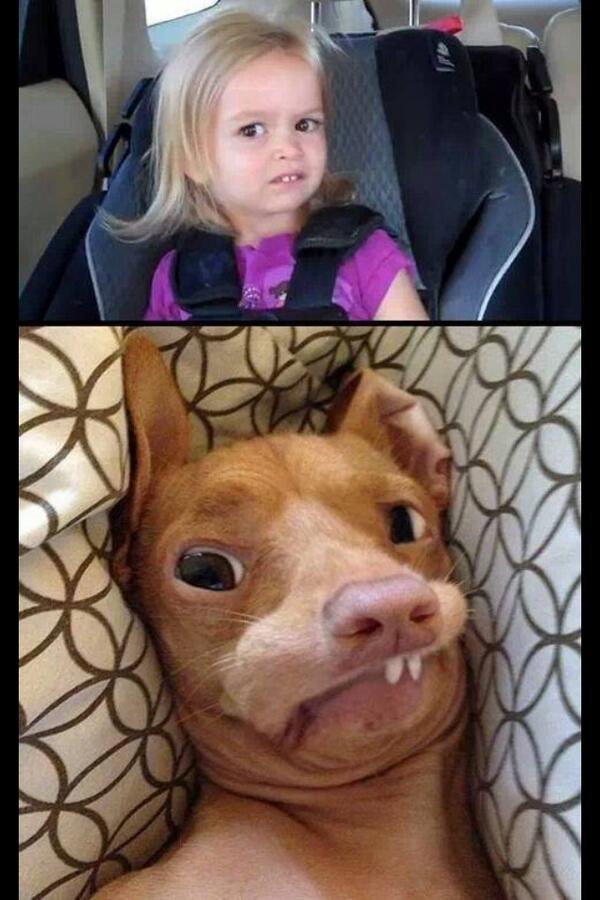 emma_hatfield's tweet photo. This photo is just so hilarious, every time I look at it, it makes me laugh! #whataface http://t.co/oSbMopNryJ