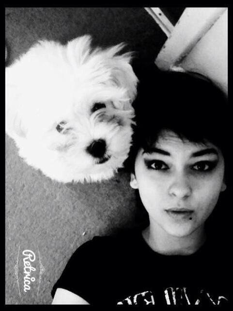 gee_bvb's tweet image. Love being homeskooled I get 2 spend time wi my lil pup Frankie cuddling up on the couch wtchn movies n takin selfies