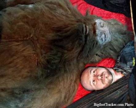 Realtree's tweet photo. PETA Outraged at Announcement of Bigfoot Corpse Tour http://t.co/SoetRgxedP The bait used? $200 of Walmart ribs. http://t.co/LTgWgPyXYA