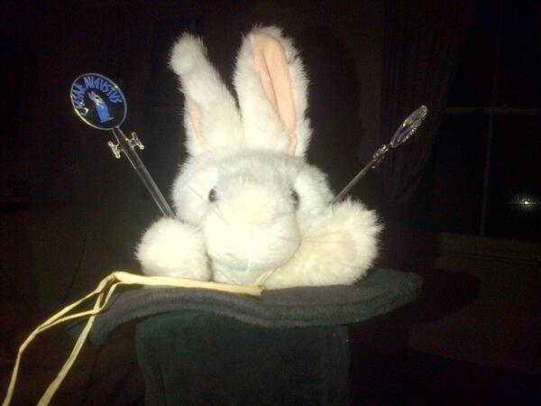 Frankinthehat's tweet photo. This rabbit needs a cocktail.... http://t.co/u8nsvpoMid