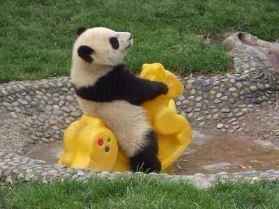 Hausiee's tweet photo. On my way to fuck yo bitch 😂 http://t.co/oT3AjX0YCf