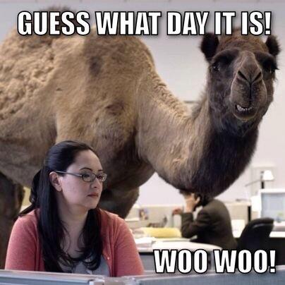 RwebbCrowe's tweet photo. Happy Hump Day! http://t.co/5ZehykeLFD