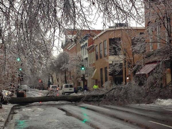 JustinWeather's tweet image. Pic of the day! Large tree blocking the road in the heard of Frederick MD from Casey Day-Kells