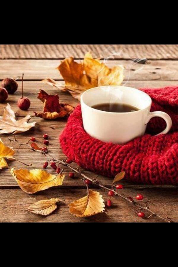 Ramazan Kavayçin (@kavaycin04) on Twitter photo 