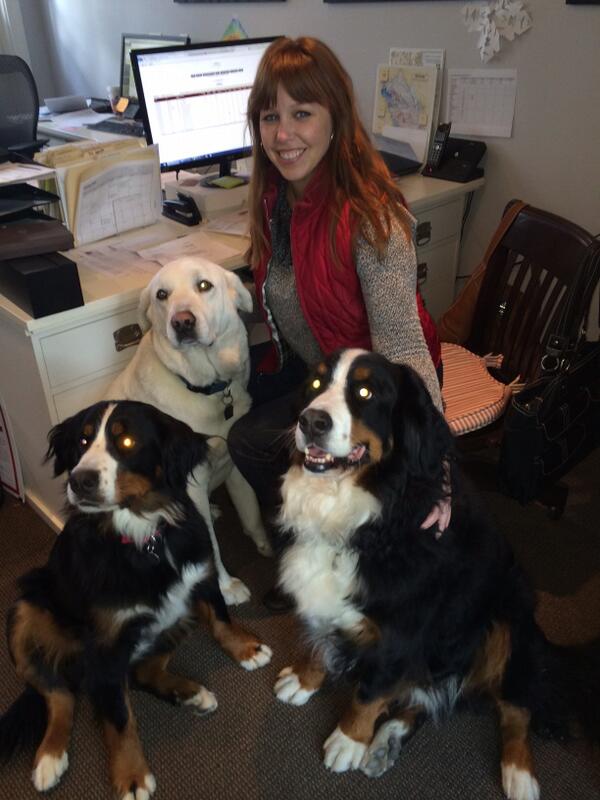 Arietta Wine tweet media