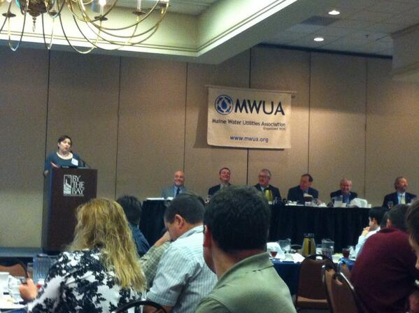 charpoulin's tweet image. @VerdantWater giving a speech at #mwua conference..only woman at the head table!