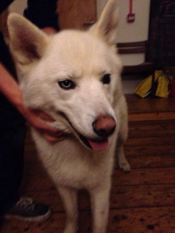 Hannah Tierney tweet media