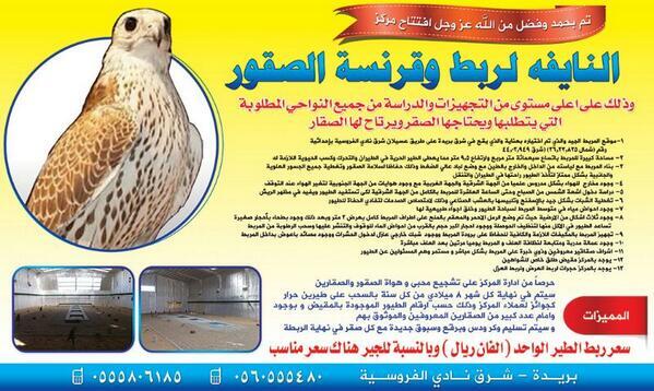 ramyraf3t2013's tweet photo. @abumshal11 http://t.co/HE7t63xJ4x