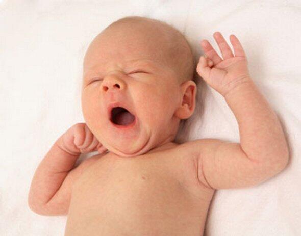 TheeItalianist's tweet photo. Wake up face. The most precious. #FAphotoaday http://t.co/Gouz3MDgFk