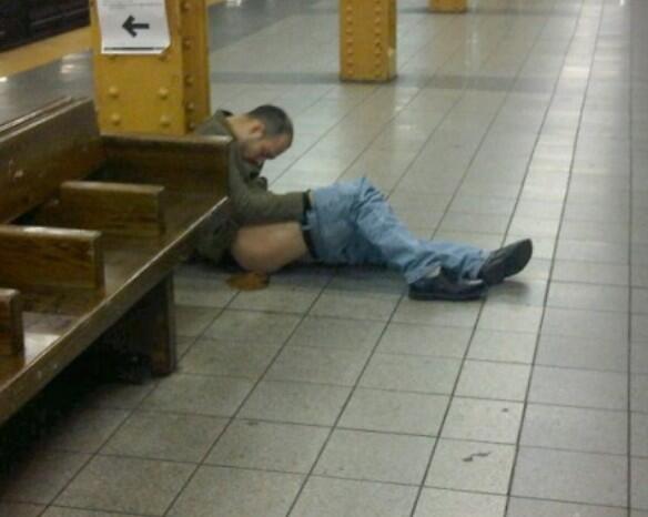 austinweekender's tweet image. #Turtlehead