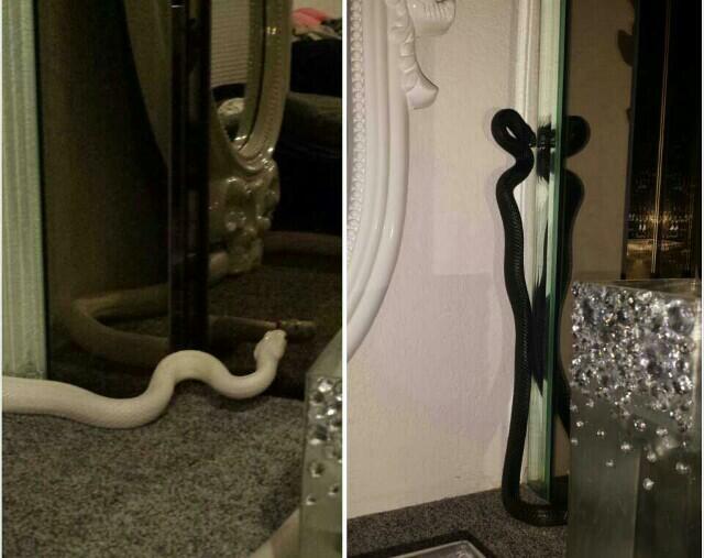 Then the vain bastards like to see how pretty they are... http://t.co/AZS5060CmQ