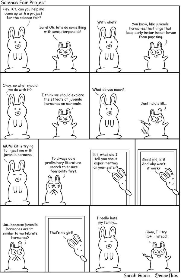 wiseflies's tweet image. Entomology Rabbit number 2 is done! Science Fair Project. #entomologyrabbit