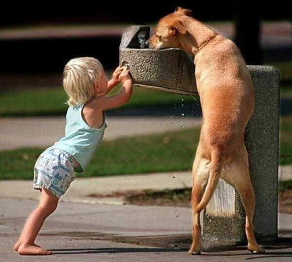 Little kid helping dog drink water. #cuteness overload!