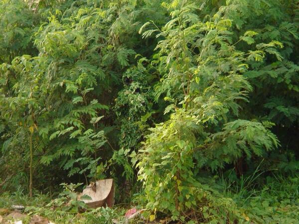 Army_Lifee's tweet photo. RT if you find the Sniper http://t.co/xpsgREx44i
