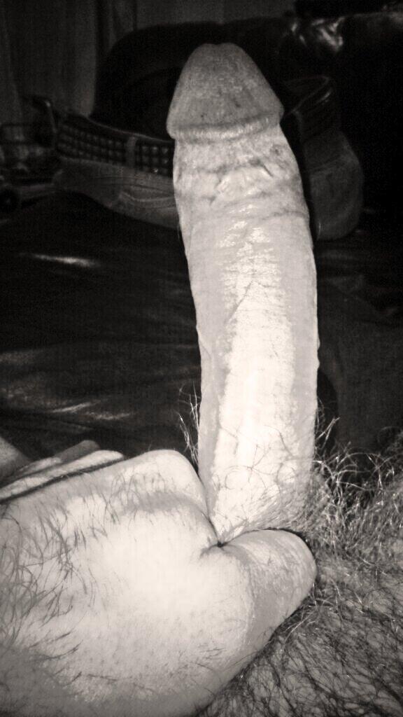 strapOnDreams's tweet photo. http://t.co/37m8FV59Os