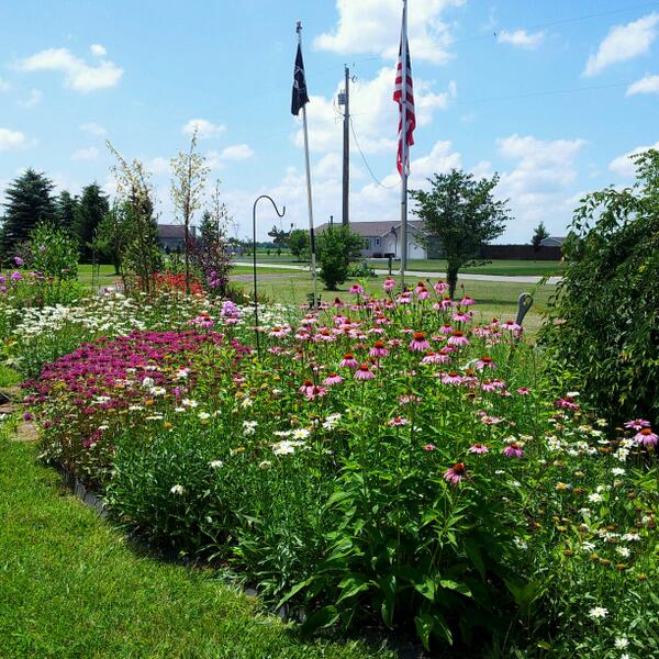 CDubbsWild's tweet image. #thinkingofspring