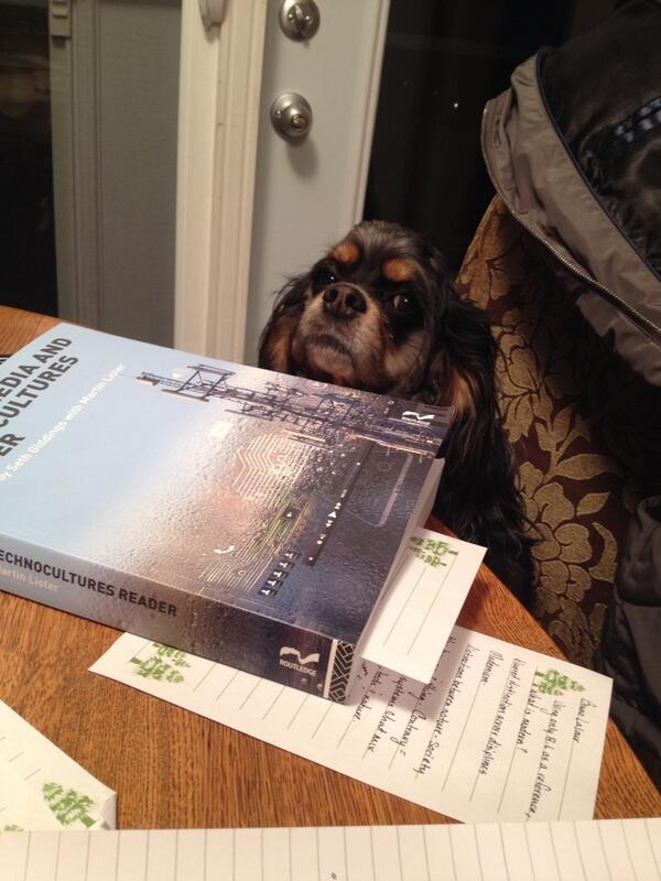 EllaSpaniel's tweet image. I&apos;m sooooo bored!!! #payattentiontome #spanielproblems #gonnaEatThistextbook