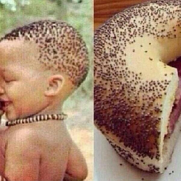 HadezOG's tweet image. This is mean and hilarious at the same time!!!