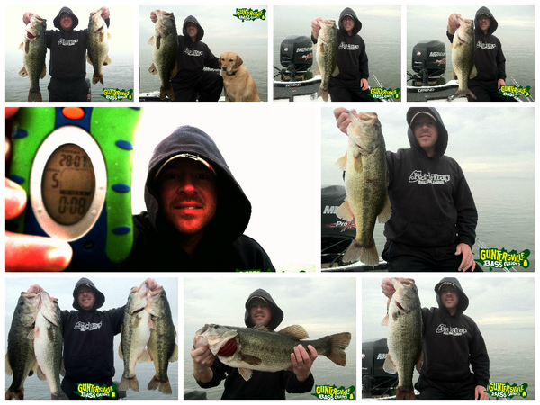 GVILLEBASSGUIDE's tweet photo. http://t.co/hc9zibN1k7