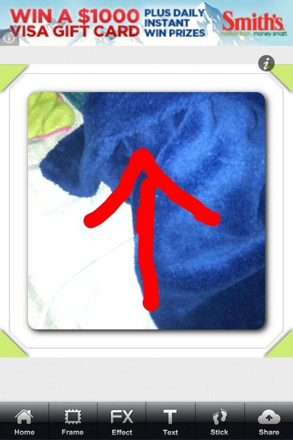 @apricotsidk wait but do you not see it??? I tried takings pic omfg the little fucking legs sticking out