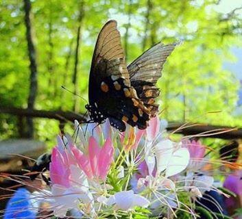 razzan's tweet photo. "قد أتحدث كثيرًا .. لكن هنا في قلبي لا شئ سوى صمت .." جلال الدين الرومي. http://t.co/Wb8OjuNddD