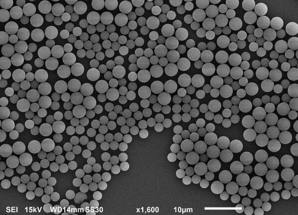 AartsLabOx's tweet photo. We’ve been playing with our new scanning electron microscope. Watch this space for some very exciting pictures... http://t.co/VAZrQLju9T