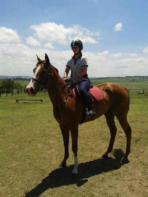 CoastalHCU's tweet photo. Retired TB ex-racehorse call Vanessa for more info 0836338986 http://t.co/nMy24bT0To
