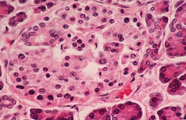 Cytoplasm_rulez's tweet photo. #TBT back when I was yung nd on mah #cytoPLAYA grind #glorydays #seemegellin #SQUAD http://t.co/KLA9ohpkGd