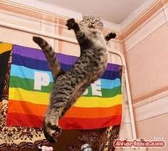 _tr0ll_'s tweet photo. @JOSCARi @LadyFlakus el pitufo saliendo del closet http://t.co/dMwL9woKE0
