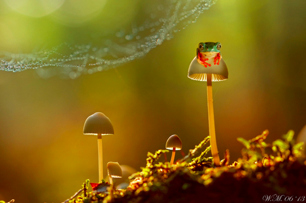 500px's tweet photo. "Chill..." Photo: http://t.co/ofpRFGBd9G by Wil Mijer http://t.co/RzqjHbHFVa