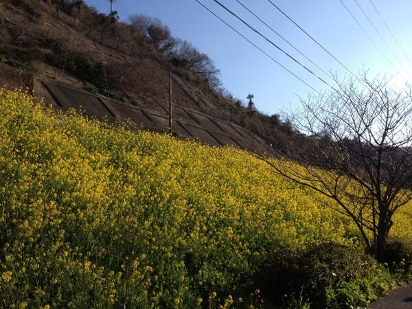 arumin's tweet photo. 電車が通ればいい絵になると思うんだが… http://t.co/fq4ada08fs