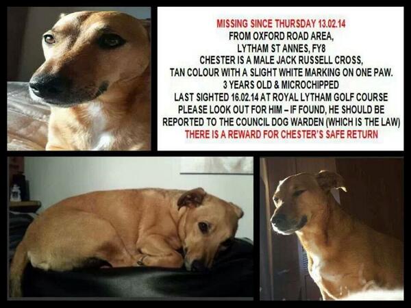 LythamLifeStyle's tweet image. This is heart breaking......please, please  RT
#findchester