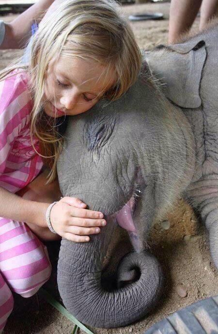 ThatIsEarth's tweet image. So cute