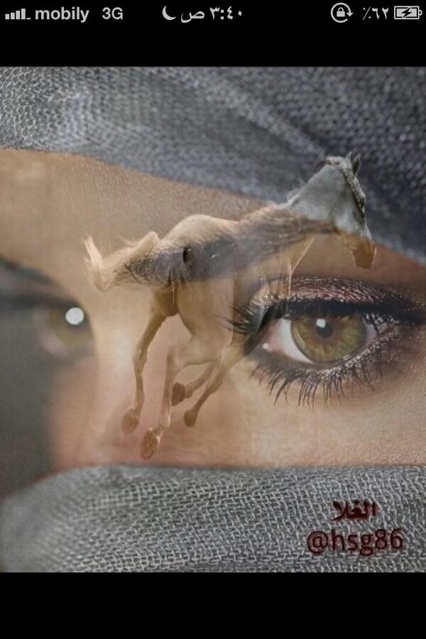 ابوعبدالله (@yaeshf) on Twitter photo 