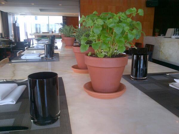 ThinkEatBeTGL's tweet image. #organic #sustainable food everyday at #urbangarden  at @CapitalClubDXB