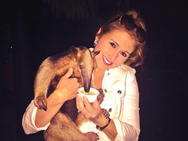 JennValentyne's tweet photo. Feeding Simon Avacado for breaky this morn on @BTtoronto #DiscoveryCove #GrandReef #Orlando #anteater http://t.co/KrGpexYovl