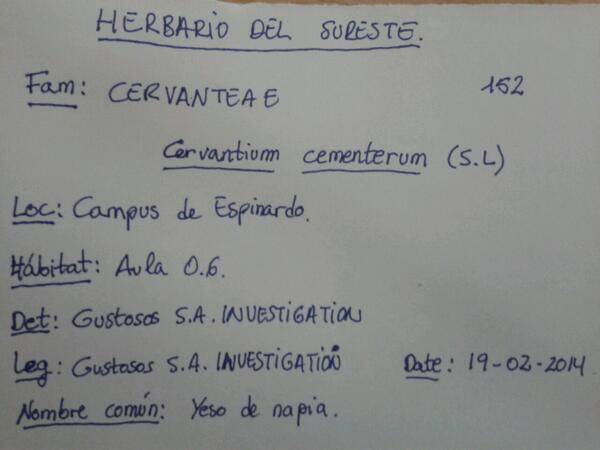 SergioLS4's tweet photo. El grupo de investigacion Gustosos S.A.INVESTIGATION descubre una nueva especie de planta endemica de Murcia. http://t.co/REsouxdyhx