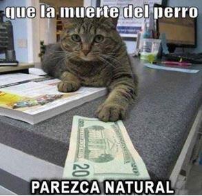 Yoibox's tweet photo. Me han hecho una propuesta indecente. http://t.co/WffOaTjYgz