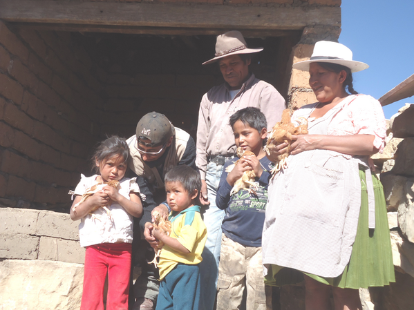 food4thehungry's tweet image. New blog: Providing a helping &apos;hen&apos; in #Bolivia --&amp;gt; go.fh.org/0DC #FHblog #Pray4eggs