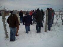 Pruning Clinic in Chestertown, Eastern Shore this Sat 9am-noon. Clovelly Nurseries. Sign up marylandgrapes.org/events/pruning… …