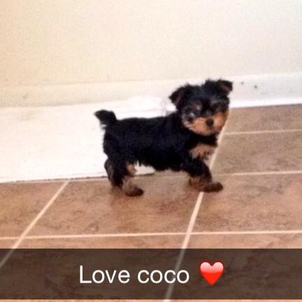Lovin my CoCo!