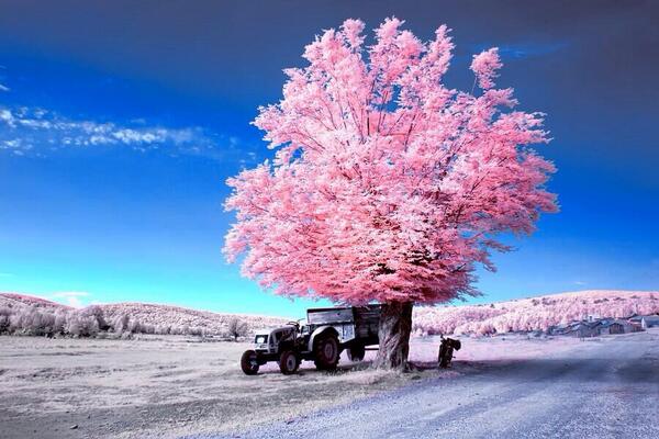 ybh4618's tweet image. 