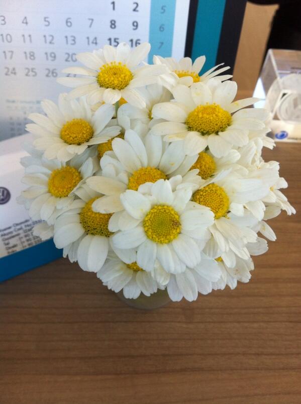 Gunumuuu guzellestirenn ciceklerim😉