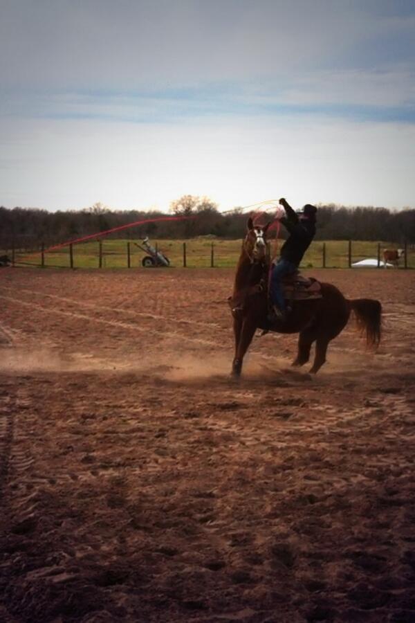 claytonpoliti's tweet image. #showmesum