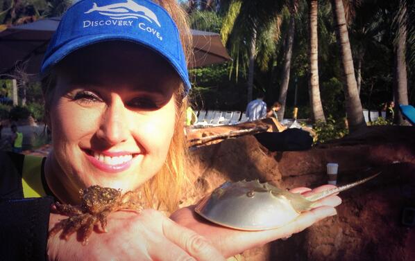 JennValentyne's tweet photo. Look what I found in the #GrandReef #DiscoveryCove @BTtoronto The kids love it :) http://t.co/Up8vipWuzz