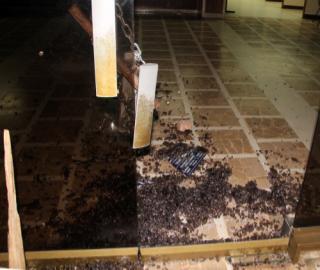 Ver imagen en Twitter